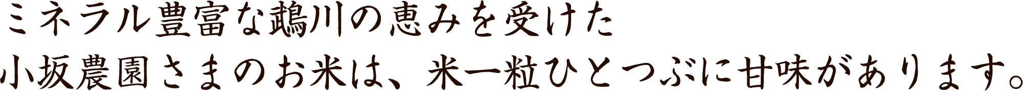 ミネラル豊富な鵡川の恵みを受けた小坂農園様のお米は、米一粒ひとつぶに甘みがあります